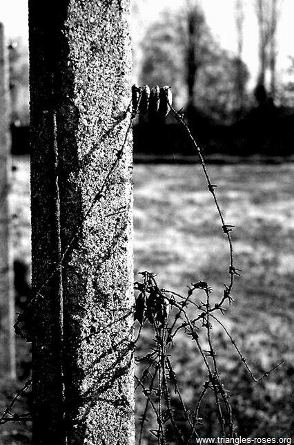 Clture lectrifie du camp de Sachsenhausen.