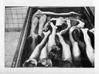 Recherches sur les races infrieures, dpartement d'anatomie, Reichsuniversitt Straburg. 