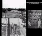 Trois photos du camp de Buchenwald.