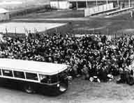 Bus utilisés pour la rafle